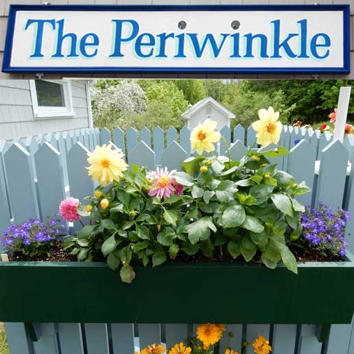 The Periwinkle