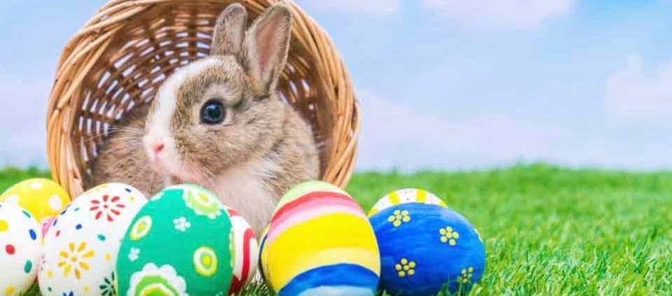 Down-Easter Egg Hunt 2019