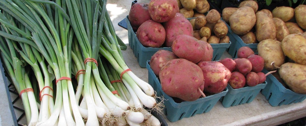 Stonington Farmers Market