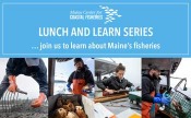 MCCF Online Lunch & Learn Series