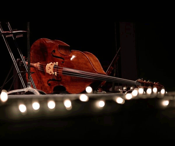 Photo of Cello instrument by Emily Miller.